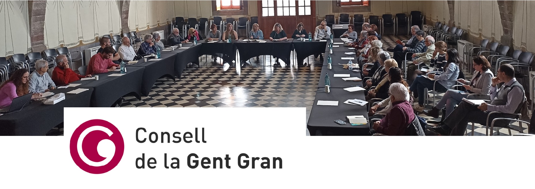 Imatge pels mitjans: Consell de la Gent Gran