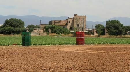 Imagen para los medios: Consejo del Pueblo de Palou