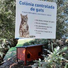 Millora de l’espai d’alimentació de les colònies de gats de carrer de Granollers.